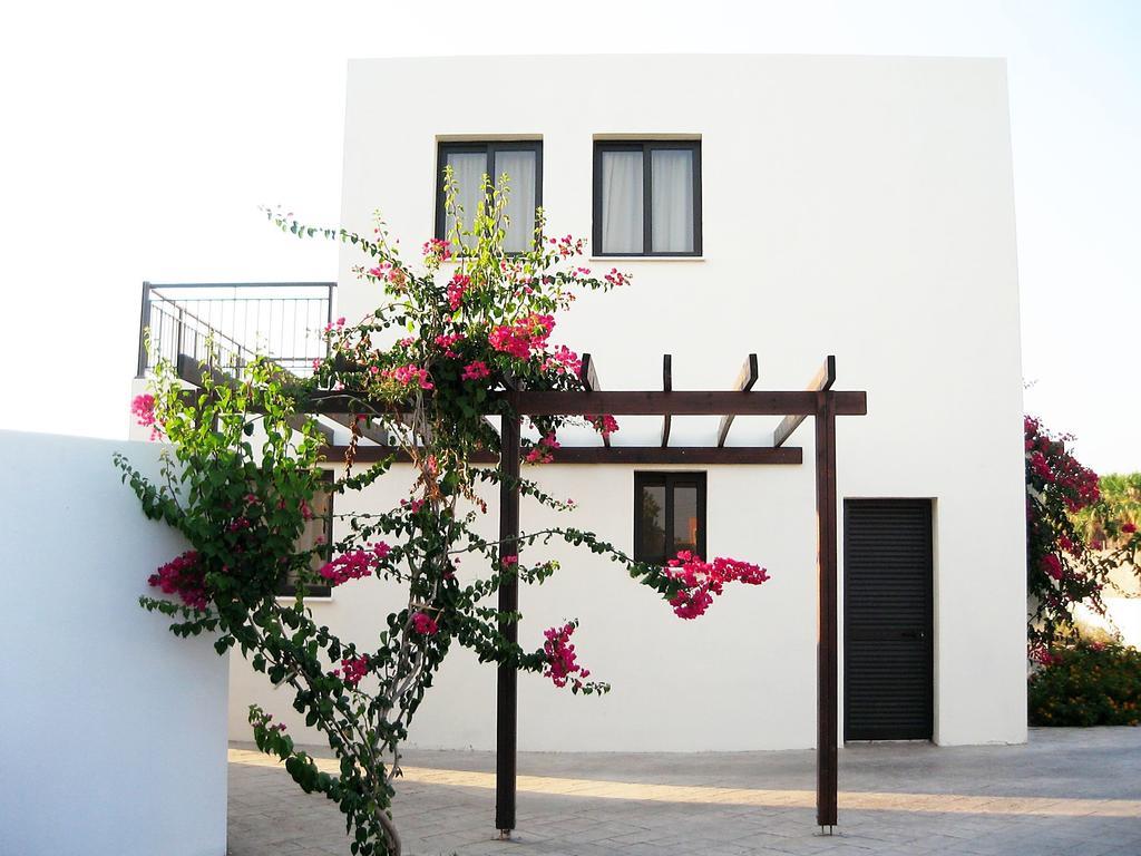 Aura Holiday Villas Paphos Exteriör bild