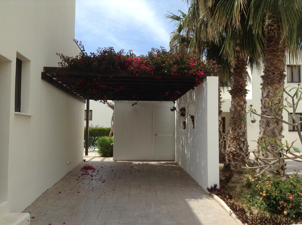 Aura Holiday Villas Paphos Exteriör bild